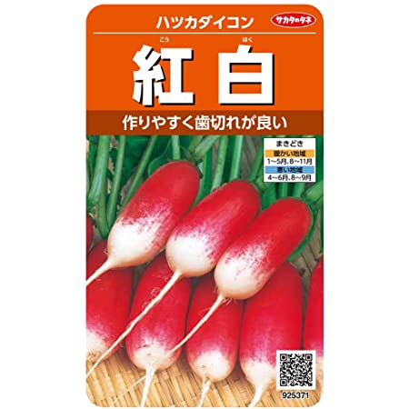 サカタのタネ 実咲野菜5371 紅白 ハツカダイコン 00925371