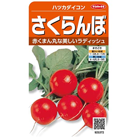 サカタのタネ 実咲野菜5371 紅白 ハツカダイコン 00925371