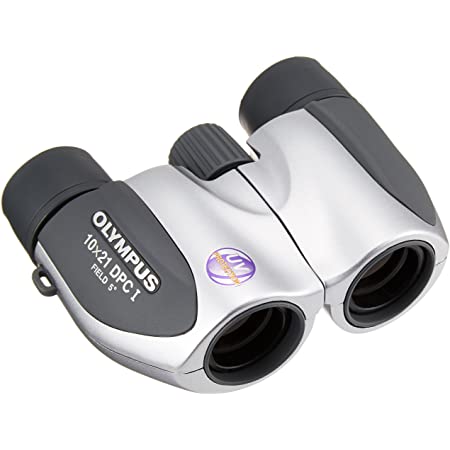 Kenko 双眼鏡 NEW SG New 10×25 SGWP ポロプリズム式 10倍 25口径 完全防水 コンパクト ブラック 11751