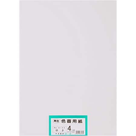 大王製紙 画用紙 再生 色画用紙 八ツ切サイズ 100枚入 ゆき(雪)