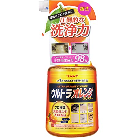 カンペハピオ 復活洗浄剤 ビニール・プラスチック用 300ML