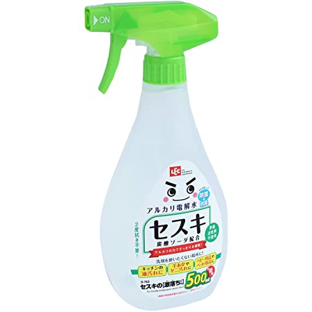 カンペハピオ 復活洗浄剤 ビニール・プラスチック用 300ML