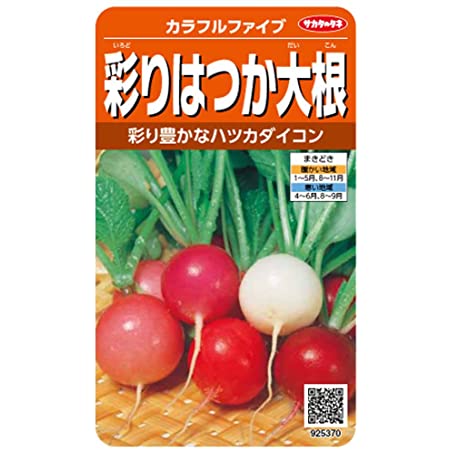 サカタのタネ 実咲野菜5372 さくらんぼ ハツカダイコン 00925372