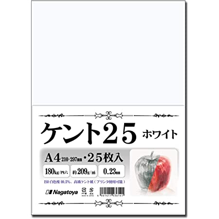 長門屋商店 美彩紙【びさいし】 ISO白色度99.5% A4 50枚 ナ-962