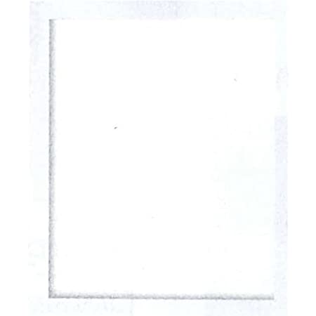 オリムパス製絲 オリジナルししゅう額 W-53 ホワイト