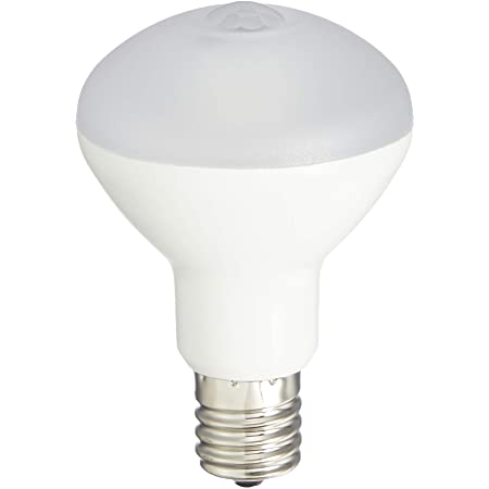 IRIS(アイリスオーヤマ) LED電球 人感センサー付 小形電球 垂直取付タイプ 電球色相当 LDA3LHE17SV