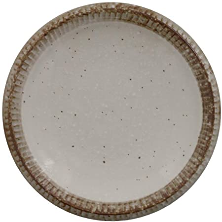 テーブルウェアイースト サラダボウル 17.1cm 渕錆粉引