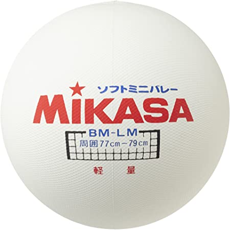ミカサ(MIKASA) ソフトミニバレーボール (大) 円周78cm 175g 軽量タイプ ホワイト BM-LM