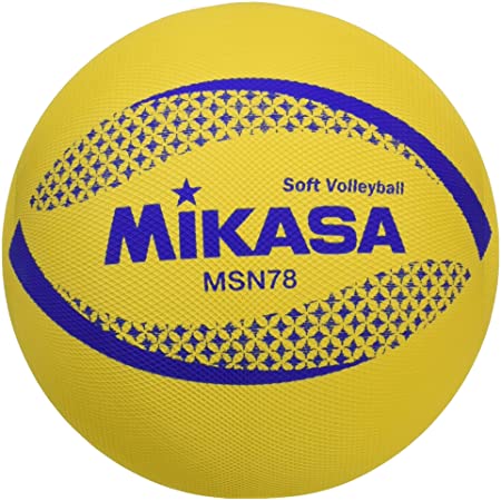 ミカサ(MIKASA) ソフトミニバレーボール (大) 円周78cm 175g 軽量タイプ ホワイト BM-LM