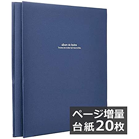 ナカバヤシ ファイル デジタルフリーアルバム ビス式 デミサイズ ブラック アH-DF-132-D
