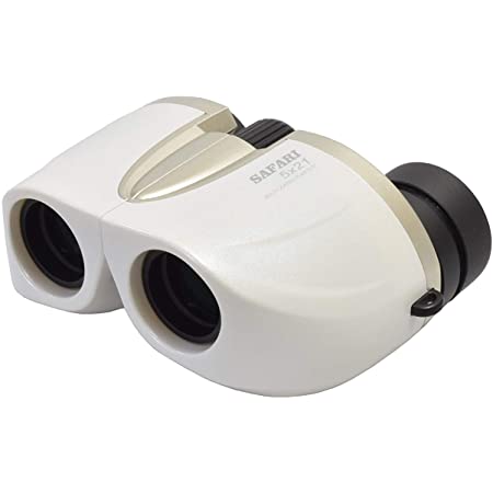 Kenko 双眼鏡 ultraVIEW 6x30WP ポロプリズム 6倍30口径 防水 020395