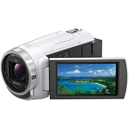 ソニー SONY ビデオカメラ FDR-AX100 4K 光学12倍 ブラック Handycam FDR-AX100 BC