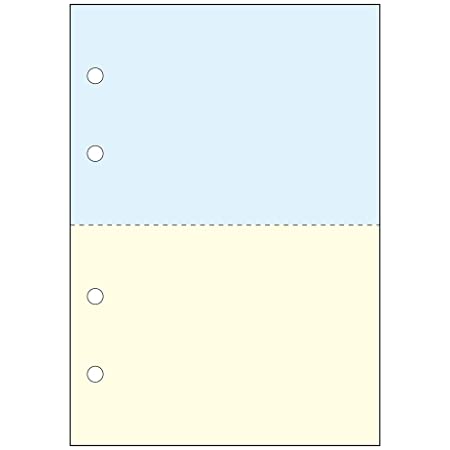 denkon プリンタ帳票 A4白 2面4穴 500枚 NP01