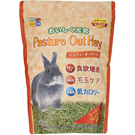 オーストラリア産 オーツヘイ(牧草)500ｇ [並行輸入品]