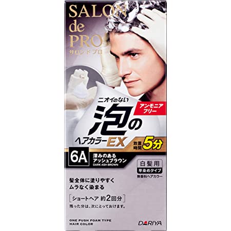 サロン ド プロ 泡のヘアカラーEX メンズスピーディ (白髪用) 6A <深みのあるアッシュブラウン> 1剤:40g+2剤:40g [医薬部外品]
