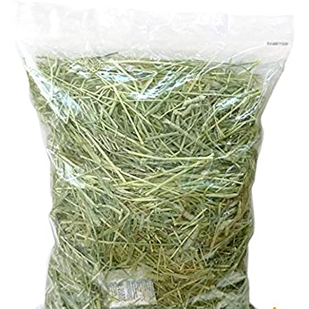 ハッピーホリデイ Natural Foods For Pet GRASS イタリアンライグラス 300g