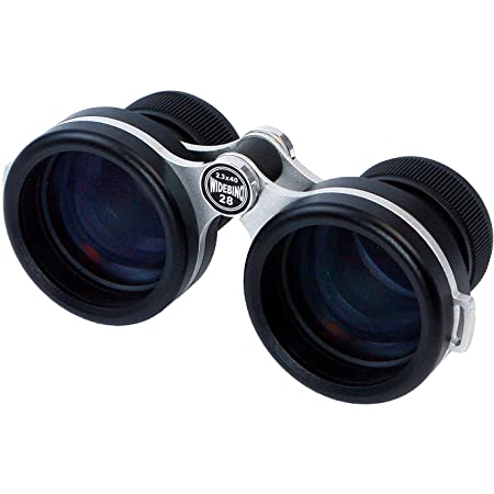 Kenko 双眼鏡 コンサート スーパーワイド 超臨場感 7×32SG SWA WOP Bak4ポロプリズム 倍率7倍 口径32mm 131930