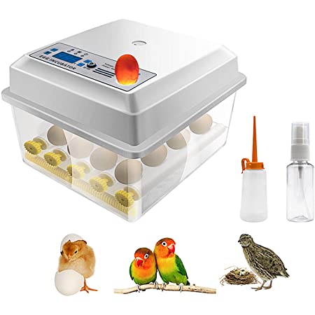 アールコム Rcom10シリーズ 小型孵卵器 (アールコム RcomプロPlus10 自動湿度調整機能付小型孵卵器)