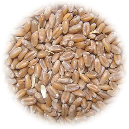 国産 小麦 100g