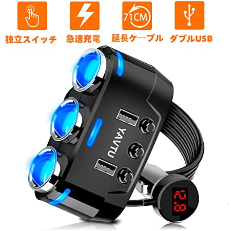 ナポレックス 車用 シガーソケット分配器 2連 USB端子2口 Fizz イルミソケットD2 USB 2.4A ブラック 12V車専用 通電モニター付 ヒューズ付10A(30mm) NAPOLEX Fizz-1011