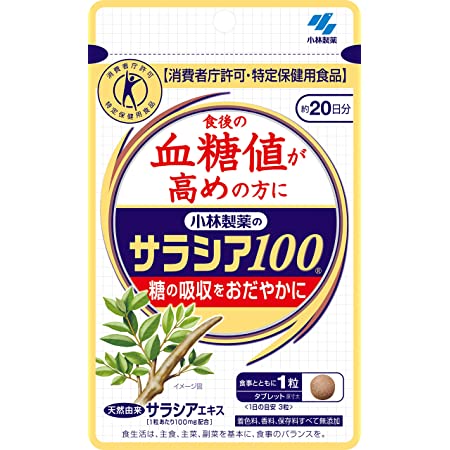 小林製薬のサラシア100 食後の血糖値が高めの方に(特定保健用食品) 約20日分 60粒