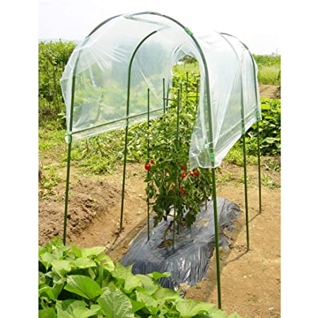 家庭菜園のトマト栽培もこれで安心！DAIM 家庭菜園用 雨よけセット トマトの雨よけに 1.3m×1.8m 雨よけハウスに