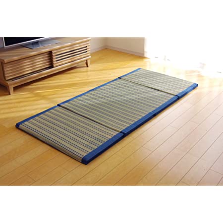 イケヒコ い草 枕 さわやか 平枕 ブルー 約30×20cm 日本製 #3625279