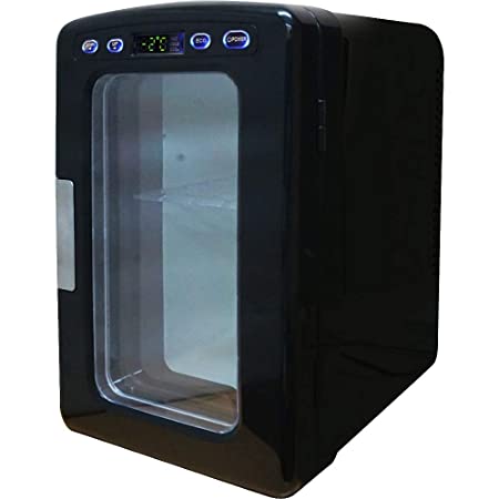 UP STORE 冷温庫 小型冷蔵庫 10L 氷点下-2～60℃まで設定可能 保温 保冷 ポータブル 家庭用ACコード 車載用DCコード (ブラック)
