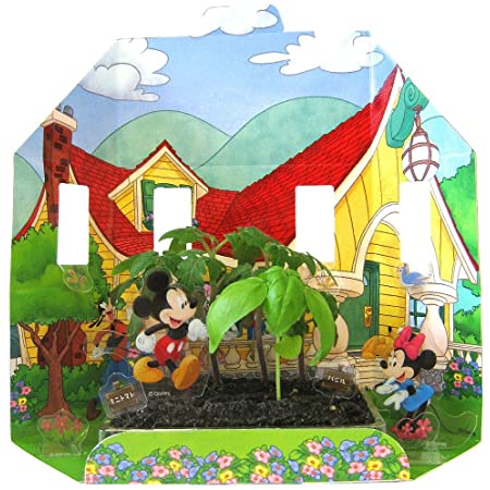 世界でいちばん小さな畑(栽培キット) ディズニー ミッキー&フレンズ(ミニトマト&バジル)