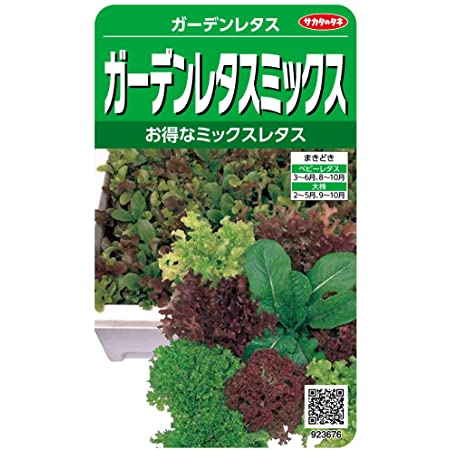 日本農産種苗 種(野菜) ミニ野菜セット 901095 小さなスペースでも栽培できる 4入