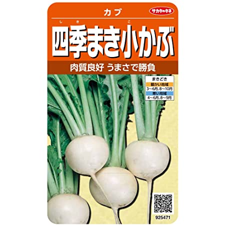 日本農産種苗 種(野菜) ミニ野菜セット 901095 小さなスペースでも栽培できる 4入