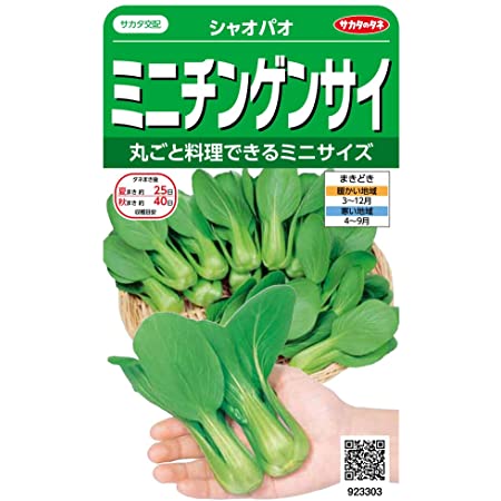 日本農産種苗 種(野菜) ミニ野菜セット 901095 小さなスペースでも栽培できる 4入