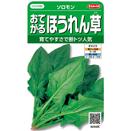 日本農産種苗 種(野菜) ミニ野菜セット 901095 小さなスペースでも栽培できる 4入