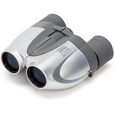 SIGHTRON 双眼鏡 ポロプリズム ズーム式 10~30倍 21㎜口径 SAFARI 10-30X21 ワインレッド SAB022RD