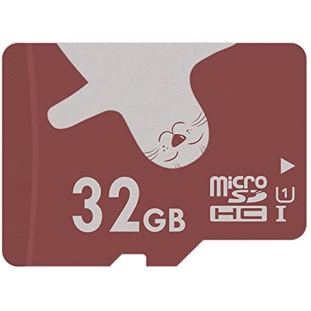 microSDカード 128GB Class10 サンディスクBRAVEEAGLE 超高速90MB/S microSDXC Nintendo Switch動作確認済 (128GB U1)