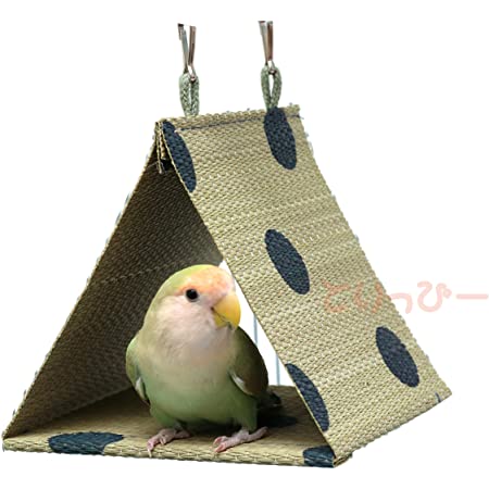 小鳥用 い草テント L グリーン