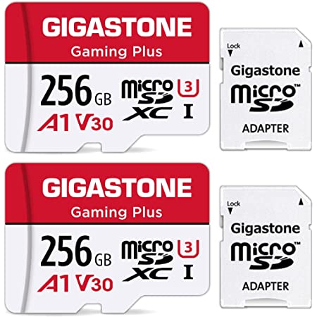 Gigastone まいくろsdカード 128GB 2個セット, MicroSD 128GB 2-Pack, 2 SDアダプタ付 2 ミニ収納ケース付, 4K UHD動画 100MB/S 高速 MicroSDXC, UHS-I A1 V30 U1 C10 Class 10