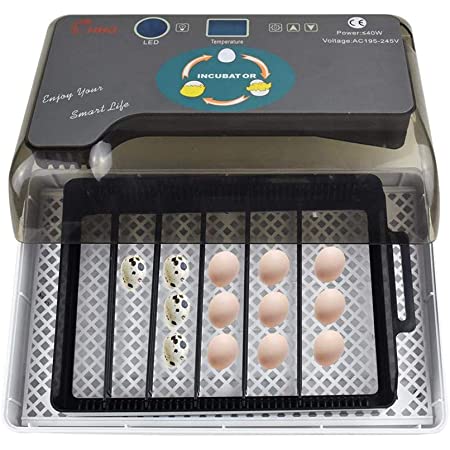 自動 インキュベーター,温度制御孵卵器 インテリジェント デジタルディスプレイ LEDテストライト付き (110/220v) ニワトリ アヒル ガチョウ キジ ウズラ 実験用 12卵