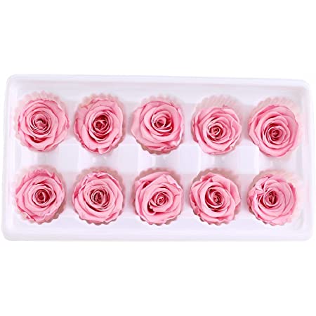 10ピンクプリザーブドフラワー ハーバリウム 花材材料素材キット ローズバラ薔薇 輪ボックス入れ 配達3〜5労働日まで