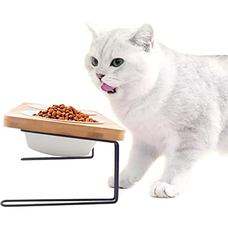 PETKIT 猫用フードボウル 猫 皿 食器 スタンド付き ウォーターボウル 0度・15度調整可能 頭を下げらず 洗いやすい 透明PC素材 シングル