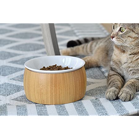 グリーン ペット ボウル フードボウル 犬 猫食器 陶器 400MLウォーター ボウル 犬猫用 餌入れ 水入れ 水飲みボウル 木製 ペット皿 滑り止め 安定感 取り外し可能 手入れ簡単 ペット用品