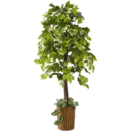 BestBuy 観葉植物 人工樹木 人工観葉植物 フェイクグリーン 造花 造木 (葵の木)