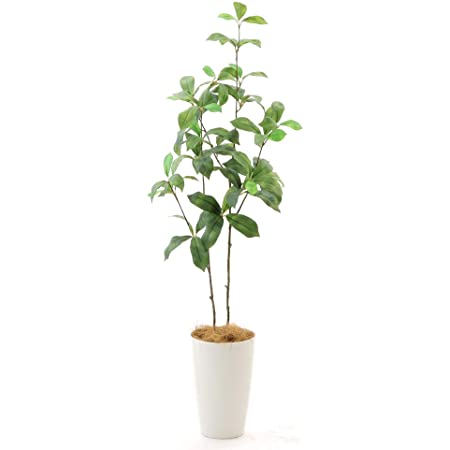 BestBuy 観葉植物 人工樹木 人工観葉植物 フェイクグリーン 造花 造木 (葵の木)