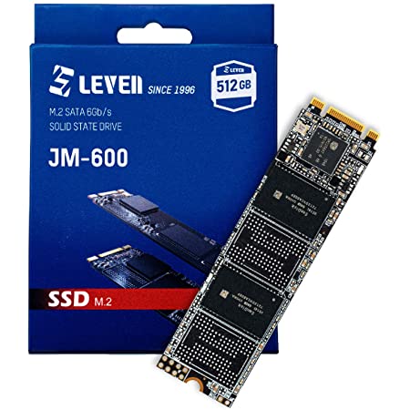 LEVEN SSD M.2 2280 512GB SATA III 6Gbps 3D TLC JM600M2-2280 512GB 3年保証