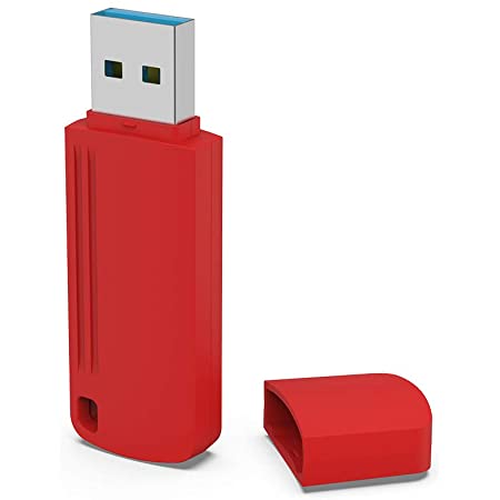 RAOYI USBメモリ256GB USB3.0 超高速データ転送 フラッシュドライブ大容量 読取り最大120MB/s 回転式 ストラップホール付き 2年保証 （水色）