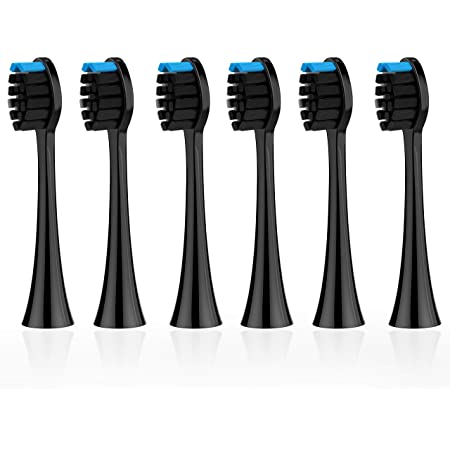 Metene 電動歯ブラシ 音波歯ブラシ 歯ブラシ ソニック 5つのモード 替えブラシ5本 収納ケース 携帯便利 IP X7防水 オートタイマー機能 低ノイズ Micro USB 充電式 (ブラック)