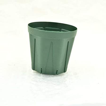 T4U 5号 スリット鉢 プラスチック鉢 根はり鉢 受け皿付き プランター バラ 観葉植物 ハーブ適用 インテリア 6点セット モスグリーン
