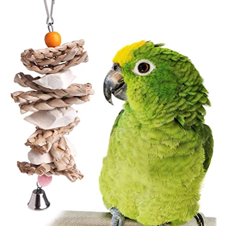 Onior オウム鳥のおもちゃナチュラルウッドカトルボーングラスチュウバイトハンギングケージベルスイングショートカットはいつでもどこでも使えます。