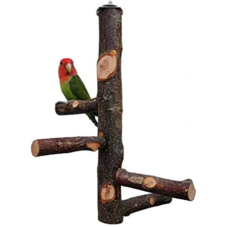 POPETPOP 鳥スタンド 止まり木 鳥噛むおもちゃ オウム おもちゃ 鳥おもちゃ ケージスタンド 木材 鳥グッズ はしご 遊園地 鳥の巣 鳥栖 支え 鳥の遊び場 知育玩具