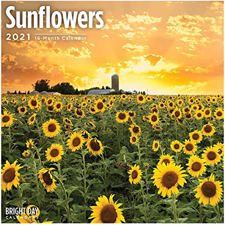 Bright Day Calendars 2021年のひまわりの壁カレンダー バイ 明るい日、12 x 12 インチ、黄色の花の花